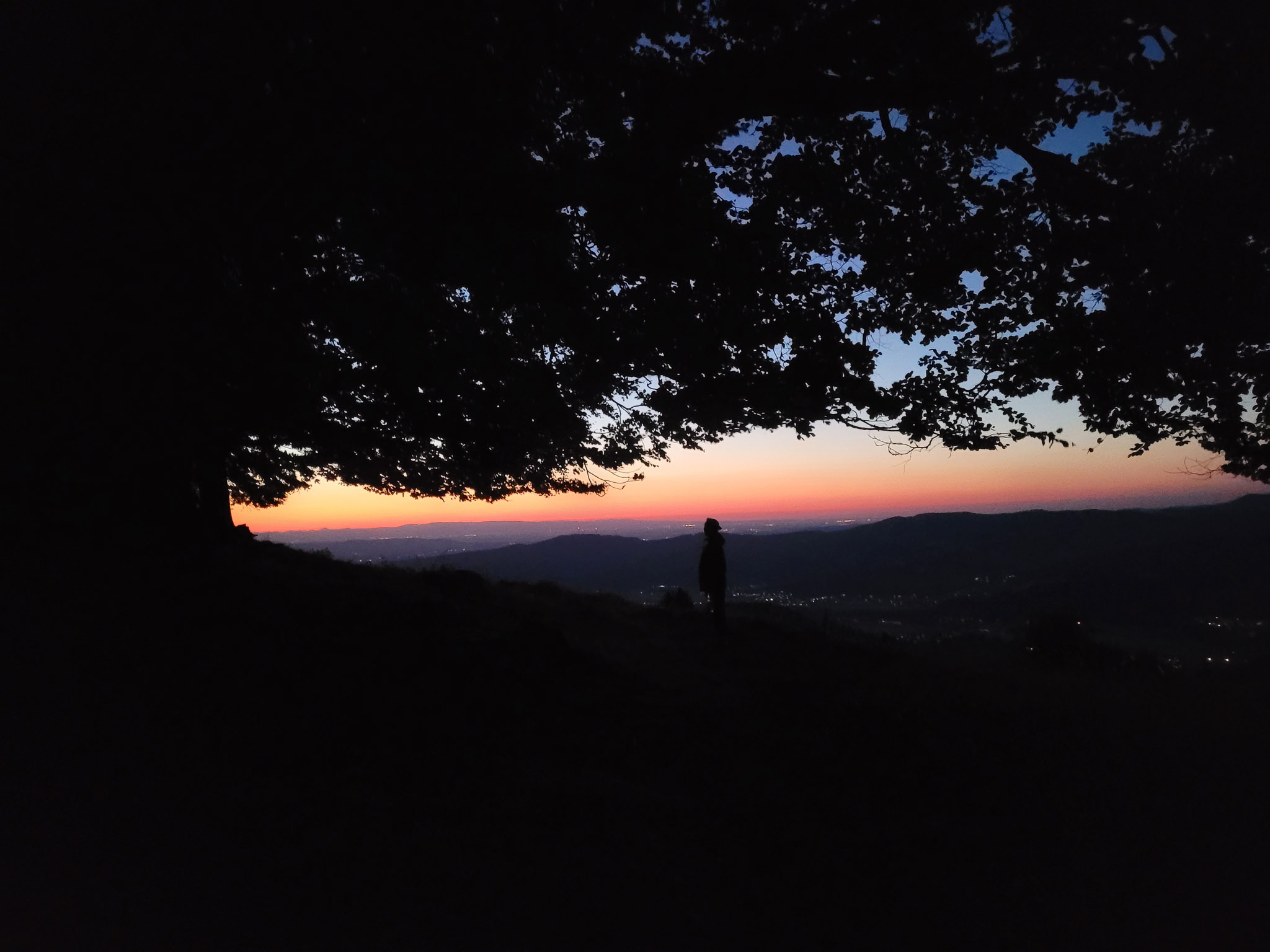 20220813213307 20220813 213307